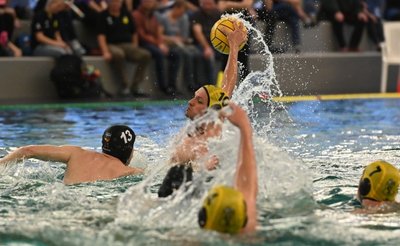 Die Zwickauer Wasserballer - hier mit Aljosa Bakovic am Ball - waren gegen Hellas Hildesheim mit 14:11 erfolgreich. 