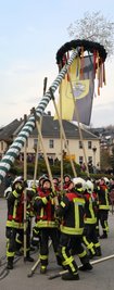 Ein kurzer und überlegter Kraftakt der Blauröcke, dann stand der Maibaum auf dem Markt in Beierfeld.