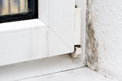 Mit 70-prozentigem Ethylalkohol soll sich kleinflächiger Schimmelpilz in der Wohnung beseitigen lassen.