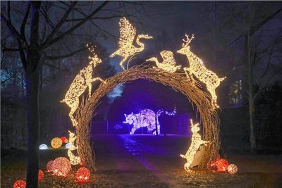 Die "Lumagica" in Lichtenwalde besteht aus mehr als 300 Lichtinstallationen mit Figuren aus Mythologie, Märchen und Natur.