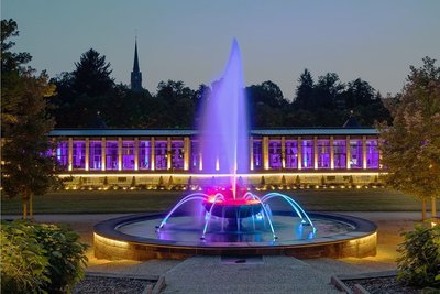 Der  Waldspringbrunnen in Bad Elster.