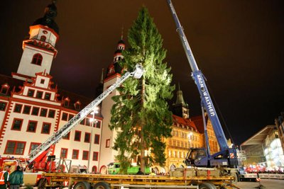 Am späten Samstagnachmittag ist auf dem Chemnitzer Markt der Weihnachtsbaum für die kommende Adventszeit aufgestellt worden.
