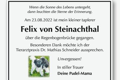 Im August starb Pudel Felix von Steinachthal. Sein Frauchen hat dem Tier zu Ehren eine besondere Traueranzeige in der "Freien Presse" aufgegeben.