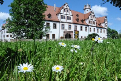 In der Kinderbibliothek im Schloss Forderglauchau gibt es ein abwechslungsreiches Programm in den Sommerferien. Foto: Wiegand Sturm/Archiv