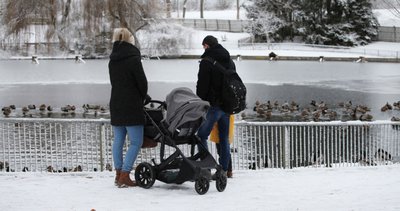 Am Teich im Eingangsbereich tummeln sich zahlreiche Wasservögel, wie verschiedene Enten- und Gänserassen. Familien freuen sich auch über den großen Spielplatz, auf dem die kleinen Besucher toben können.
