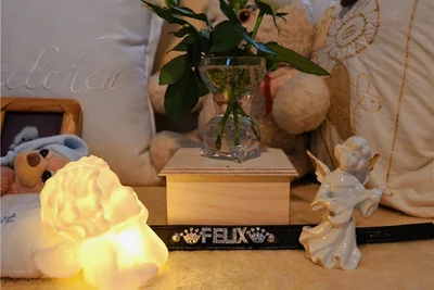 Die Urnenbox von Hund Felix, die Renate Kehr zu Hause auf ihrem Sofa aufbewahrt.