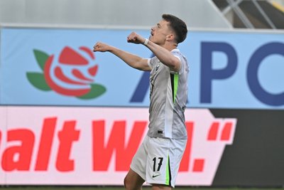 Dzenan Pejcinovic brachte Wolfsburg früh in Führung.