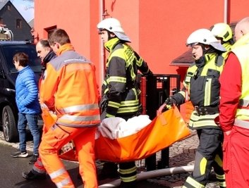 Die Feuerwehr musste auch zwei Hunde aus dem Gebäude am Bachweg retten. 