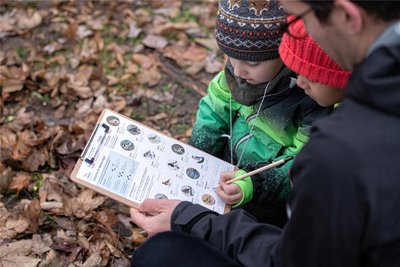 Eine Zählhilfe soll es auch Kindern ermöglichen, Vögel im heimischen Garten oder Park zu erkennen und zu dokumentieren.