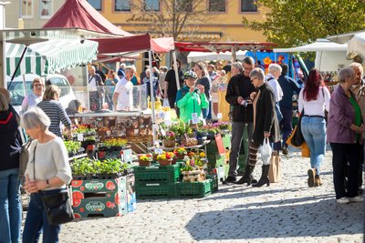 Jeweils am ersten Samstag im Monat gibt es in Burgstädt einen Heimatmarkt. Hier sind Angebot und Nachfrage ungleich größer als unter der Woche.