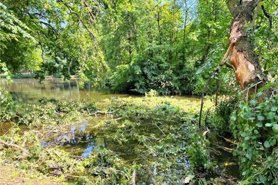 Noch schwimmen abgerissene Äste im großen Teich. Der Stadtpark selbst ist aber nicht mehr gesperrt.