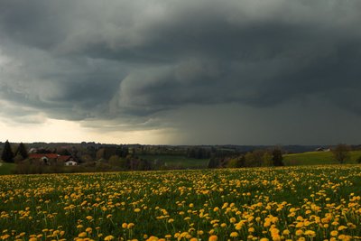 Dunkle Wolken und Gewitter wird es auch in den kommenden Tagen geben. (Archivbild)