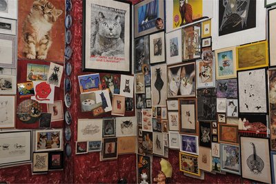 Das 2015 eröffnete Katzencafé im Erdgeschoss des Rittergutes Bösenbrunn wird als Veranstaltungsraum erhalten bleiben.