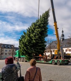 Unter neugierigen Blicken wird die rund 15 Meter hohe Tanne auf dem Marienberger Markt mit einem Kran in Position gebracht. 