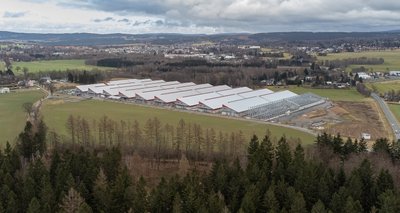 Derzeit laufen am Hetzner-Standort im Gewerbegebiet Falkenstein-Siebenhitz die Arbeiten an der zehnten Halle. Die bisherige Fläche ist damit weitgehend voll - doch das Areal zwischen den aktuellen Hallen und dem Waldrand (vorn) ist bereits als Optionsfläche reserviert. 