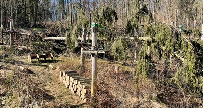 Fichten sind ins Kletterwald-Gelände an der Talsperre Pöhl gestürzt. Dennoch soll die Saison pünktlich Ostern beginnen. 