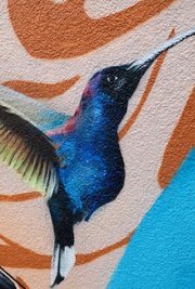 Nur einer der vielen Hingucker auf dem Gemälde. Fast scheint es, als wolle der Kolibri aus der Wand fliegen.