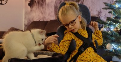 Lillys tierisches Weihnachtsgeschenk kam schon einige Tage vor der eigentlichen Bescherung: Kater Findus. 
