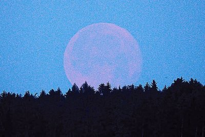 Der Monduntergang am nächsten Morgen (4. Juli) war ebenfalls spektakulär.