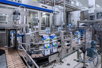 Die Milch der Kühe wird vor Ort auf dem Hofgut in Eichigt verarbeitet. Verkauft wird sie dann in den Denns-Bio-Märkten.