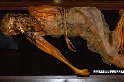 Durfte Russland nicht verlassen: Die geplante Leihgabe der über 2200 Jahre alten Mumie eines Reiterkriegers mit deutlicher Tätowierung auf Schulter und Arm. In der Ausstellung im Smac wird nun ein 3D-Scan der Mumie auf einen leeren Vitrinensockel projiziert. 