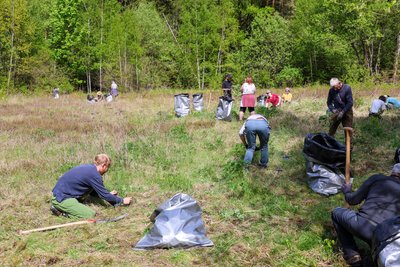 Zwölf Freiwillige arbeiten diese Woche auf einer Wiese im Hartmannsdorfer Forst.