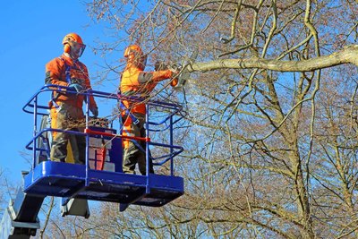 Ein Grund für die Straßensperrungen nach Ostern sind Baumpflegearbeiten.