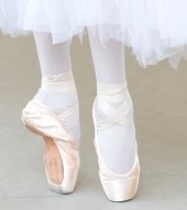 Ballettensemble - Theaterliebling 2011