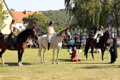 Das Pferdetheater im Rochlitzer Ortsteil Noßwitz hat seine Premiere gefeiert. Rund 300 Zuschauer ließen sich das Spektakel nicht entgehen.