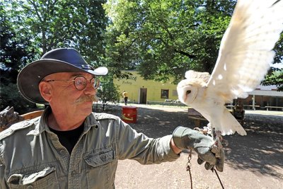 Tierparkdirektor Peter Heinrich und eine der Schleiereulen.