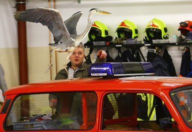 Verletzter Graureiher: Anfang 2017 fand Michael Hunger den Vogel mit geprellter Schwinge. Später wurde im Annaberger Feuerwehrgerätehaus getestet, ob er wieder fliegen kann.