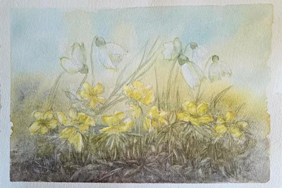Zu sehen sind Zeichnungen, Malereien, Aquarelle und fotografische Impressionen der Annaberger Künstlerin Elke Harzer.