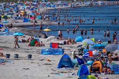 Mit der sommerlichen Hitze steigt das Risiko für Vibrionen-Infektionen an Nord- und Ostsee.
