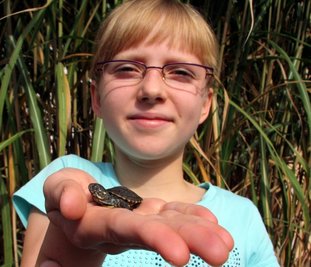 
              <p class="artikelinhalt">Stolz präsentiert Janine Weichelt den sehr seltenen Sumpfschildkrötennachwuchs. </p>
            