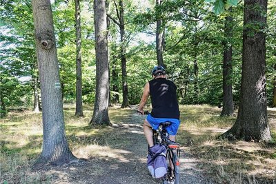 Idyllisch durch den Wald könnte ein Teil des neuen Radschnellweges zwischen Werdau und Zwickau verlaufen.