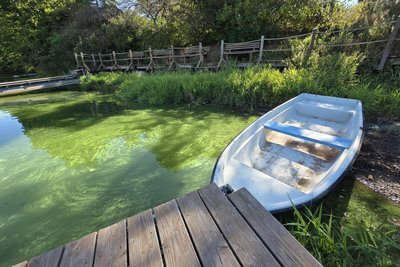 Ein Ruderboot wie dieses wurde von der Anlegestelle der Jugendherberge gestohlen.