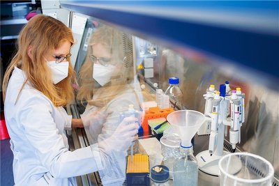 Auf Antikörper Genesener stützt sich derzeit die Coronatherapie. Die Aufbereitung ist kompliziert.