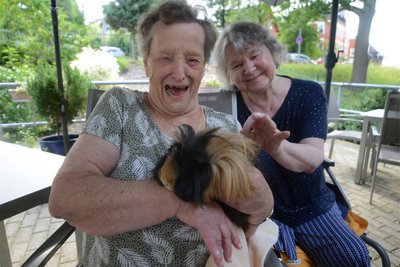 Helga Hermann und Steffi Weiß werden gleich ganz fröhlich, als sie ein Meerschweinchen in die Arme nehmen können. Und es fallen den beiden viele Tiergeschichten von früher ein.