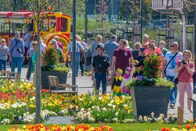 So bunt blühte es zur Eröffnung der Landesgartenschau in Frankenberg. Nun soll Bad Schlema erblühen. 
