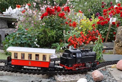 Bei den Hofmanns rattern die Züge der Gartenbahn im Minutentakt durch blühende Landschaften.