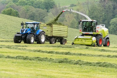 Die erste Mahd ist vorbei, hier ein Bild vom März von einem Olbernhauer Landwirtschaftsbetrieb. Wie geht es weiter?