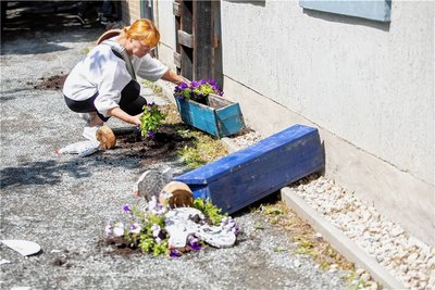 Erst am Vortag habe der Verein die Blumenkästen frisch bepflanzt. Vereinschefin Kerstin Rüffer ist entsetzt.