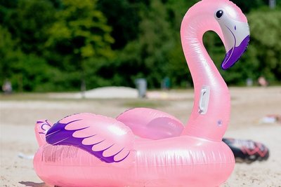 Mit großen aufblasbaren Schwimmtieren werden am Sonntag wieder Waghalsige über den Schutzteich in schippern. Der Schnellste gewinnt. 