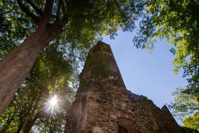 Etwa 300 Meter von der Burgruine Liebau entfernt, fand am Mittwochmorgen eine Radfahrerin den toten Säugling.
