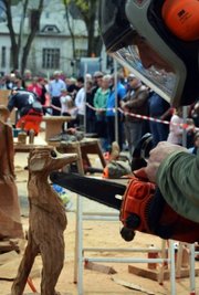 Beim Speedcarving-Wettbewerb hatten die Künstler 45 Minuten Zeit, aus einem Holzblock eine Skulptur zu kreieren. Steffen Rupf (vorn) aus Adorf erweckte dabei ein kleines Erdmännchen zum Leben. 