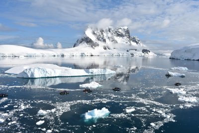 In Festrumpfschlauchbooten – den Zodiacs – schwärmen die Passagiere zur Walbeobachtung aus. Aber schon die unbelebte Natur ist spektakulär.