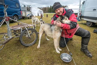 Nach einer Trainingsrunde bekommt Leit-Husky Fley von Erhard Feickert Streicheleinheiten.