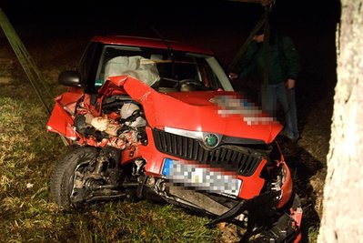 Eine 43-Jährige ist bei dem Versuch einer Gruppe Rehe auszuweichen gegen einen Baum geprallt.