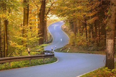 Kurvige Landstraße durch die Sächsische Schweiz: Die Perfektion wird nur durch vergossene Risse im Asphalt geschmälert.