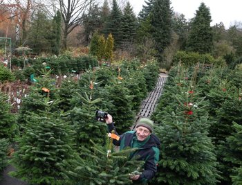 Uwe Siegert, Geschäftsführer der Baumschule in Hohenstein-Ernstthal, in seinem sogenannten Weihnachtsbaumwald. Wenn die Kundschaft nicht direkt vor Ort einkaufen kommen kann, wird ein besonderer Telefon- und Kamera-Service geboten. 
